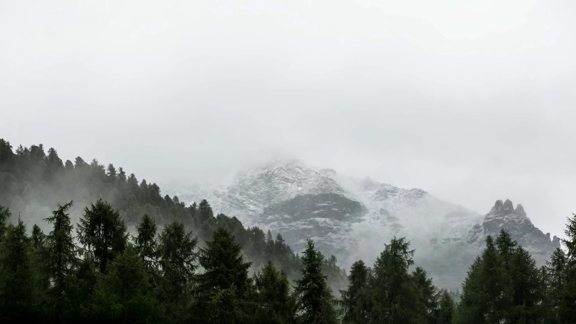 Supervision - Pontresina, Grisons, Switzerland on the way to Corwatsch on a misty morning.