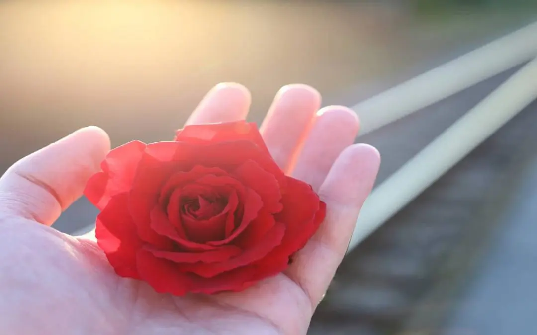 Preventing Suicide – What You Can Do To Help