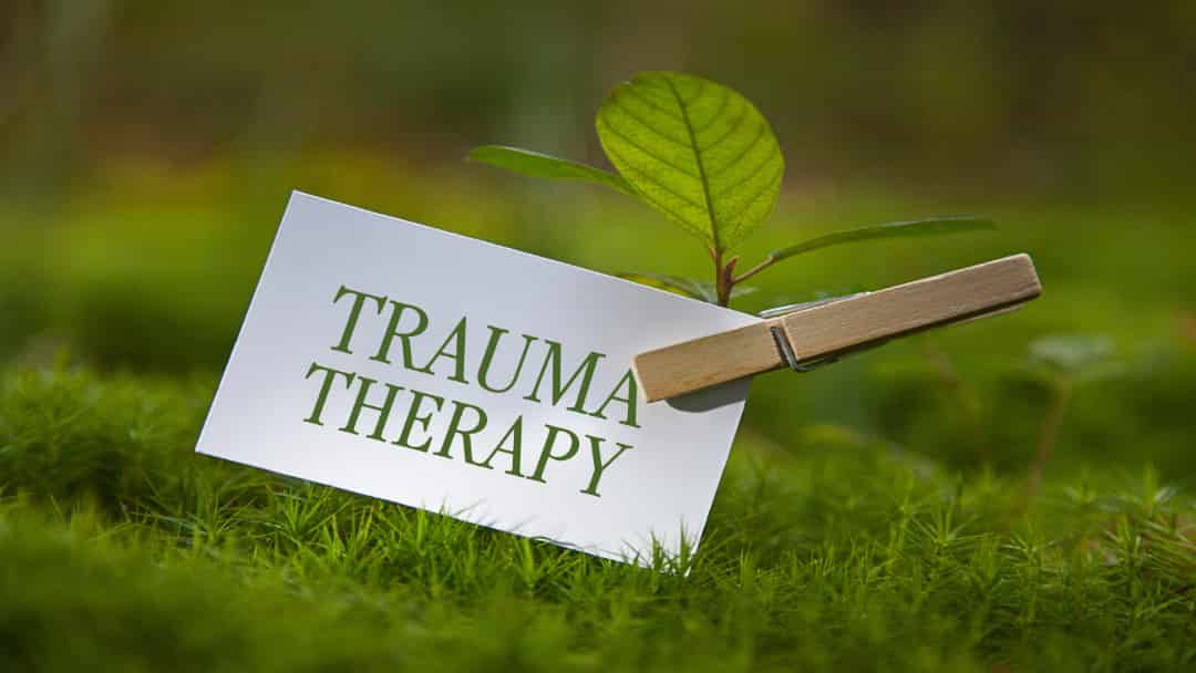 trauma therapy and PTSD treatment
