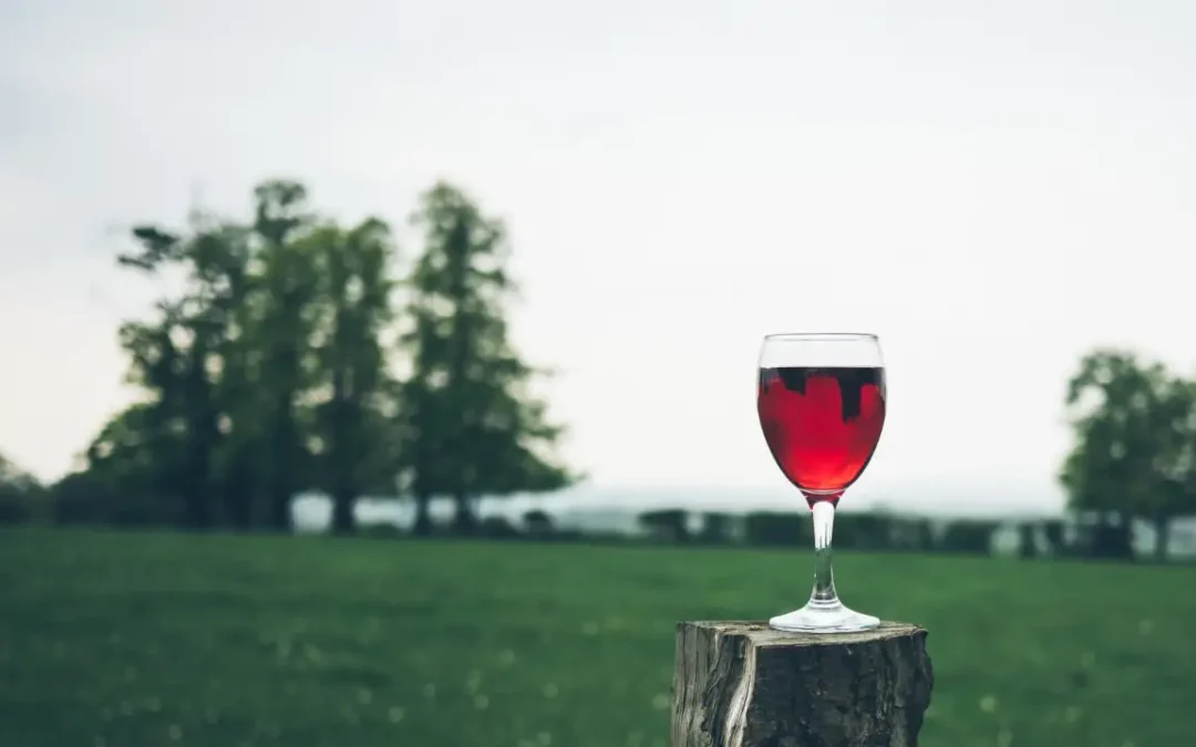 Take Control: Online Alcohol Assessment AUDIT for Informed Well-being